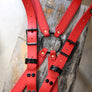 Suspenders: Adjustable (NEW!!)