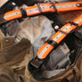 Suspenders: Reflective COLORS